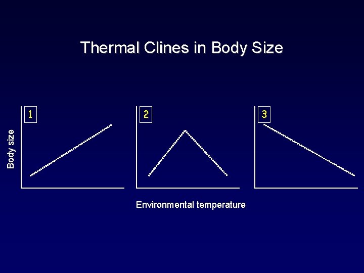 Thermal Clines in Body Size 2 Body size 1 Environmental temperature 3 