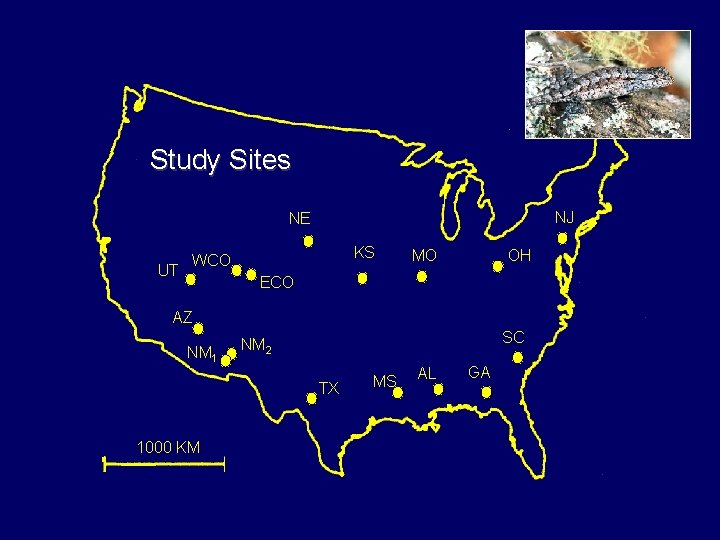 Study Sites NJ NE UT KS WCO MO OH ECO AZ NM 1 SC