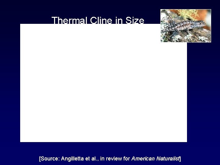Thermal Cline in Size [Source: Angilletta et al. , in review for American Naturalist]