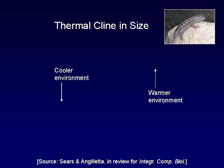 Thermal Cline in Size Cooler environment Warmer environment [Source: Sears & Angilletta, in review
