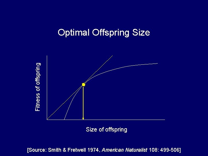 Fitness of offspring Optimal Offspring Size of offspring [Source: Smith & Fretwell 1974, American