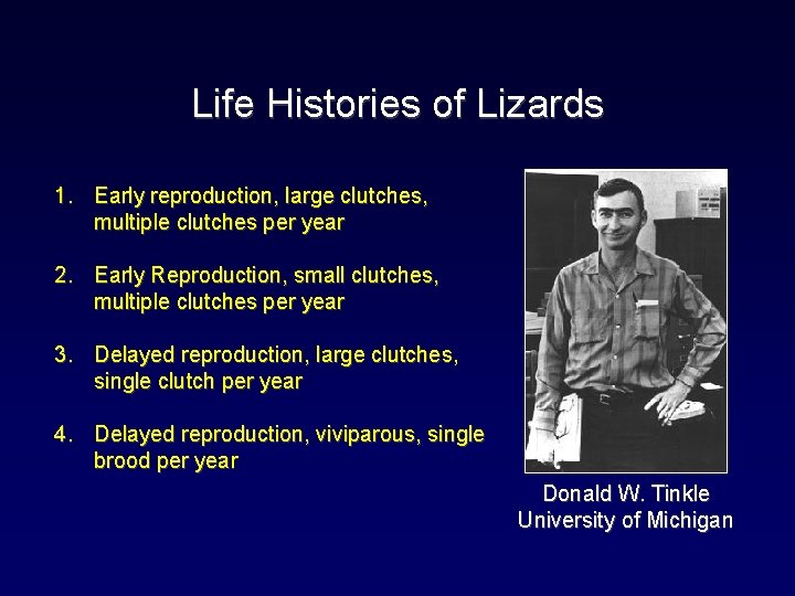 Life Histories of Lizards 1. Early reproduction, large clutches, multiple clutches per year 2.