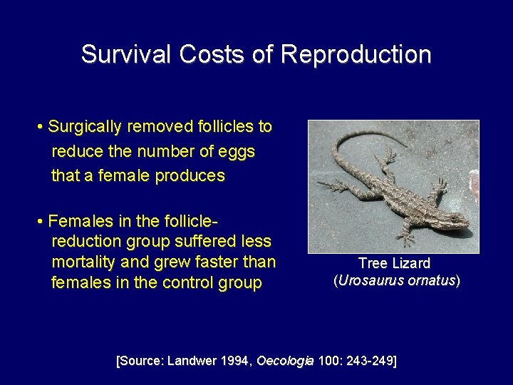 Survival Costs of Reproduction • Surgically removed follicles to reduce the number of eggs