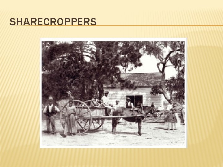 SHARECROPPERS 