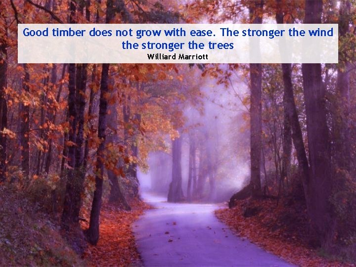 Good timber does not grow with ease. The stronger the wind the stronger the