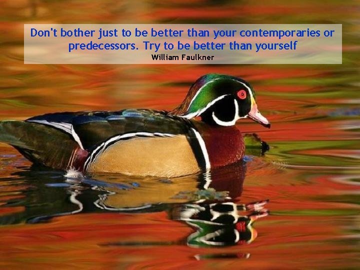 Don't bother just to be better than your contemporaries or predecessors. Try to be