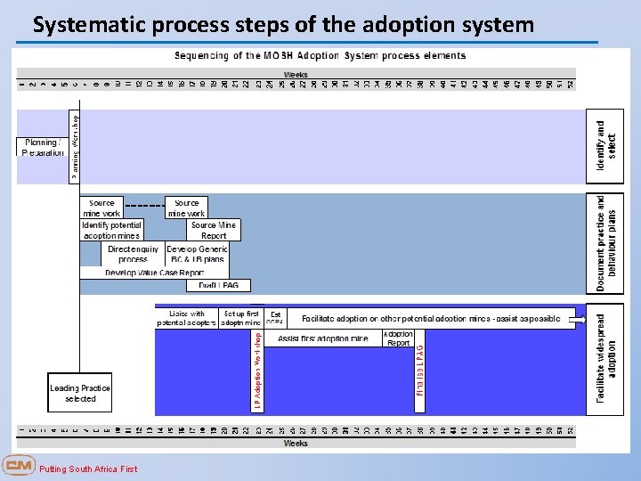 Systematic process steps of the adoption system Putting South Africa First 