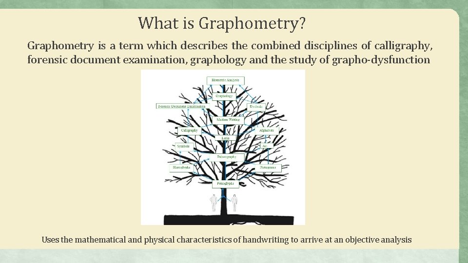 What is Graphometry? Graphometry is a term which describes the combined disciplines of calligraphy,