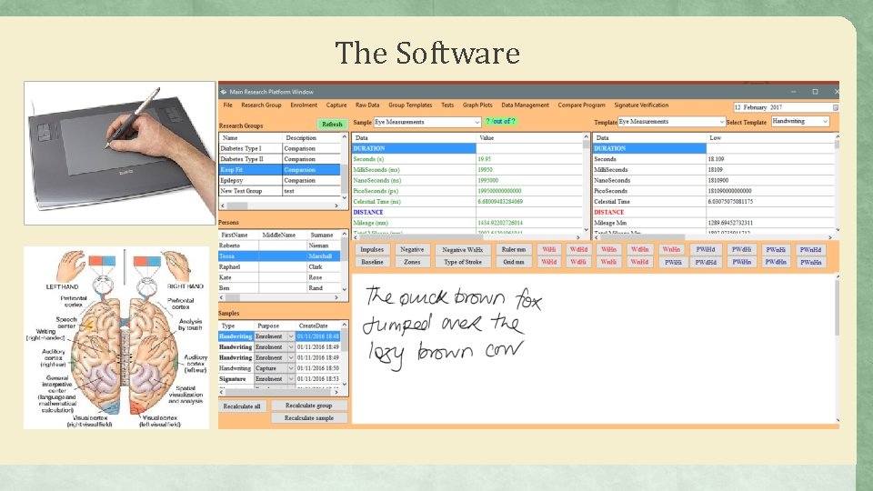 The Software 