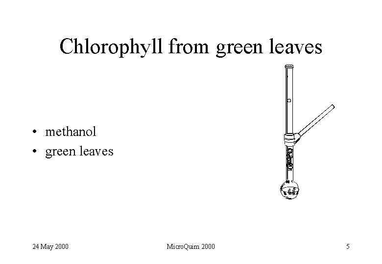 Chlorophyll from green leaves • methanol • green leaves 24 May 2000 Micro. Quim