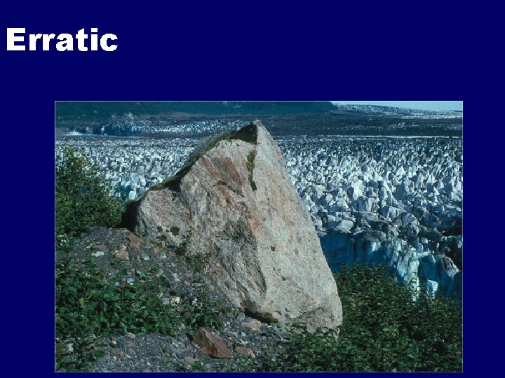 Erratic Erratic