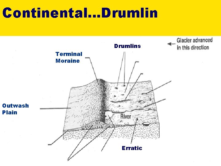 Continental…Drumlins Terminal Moraine Outwash Plain Erratic Continental…Drumlins Terminal Moraine Outwash Plain Erratic