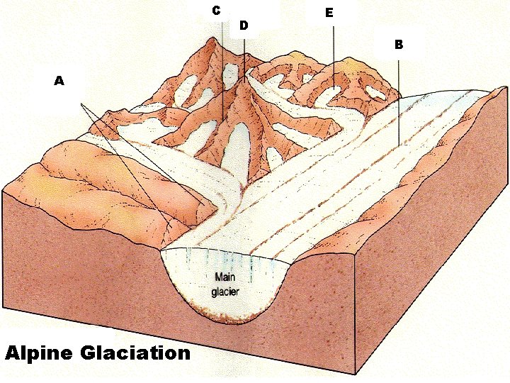 C D E B A Alpine Glaciation C D E B A Alpine Glaciation