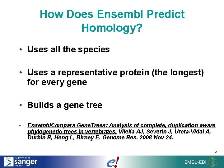 How Does Ensembl Predict Homology? • Uses all the species • Uses a representative