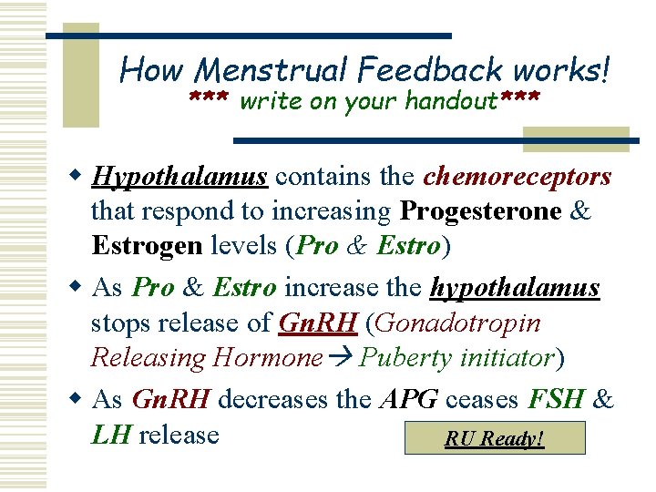 How Menstrual Feedback works! *** write on your handout*** w Hypothalamus contains the chemoreceptors