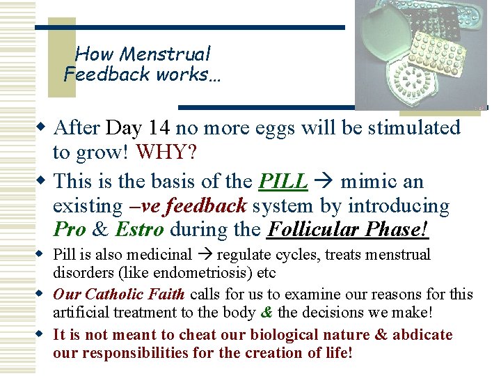 How Menstrual Feedback works… w After Day 14 no more eggs will be stimulated