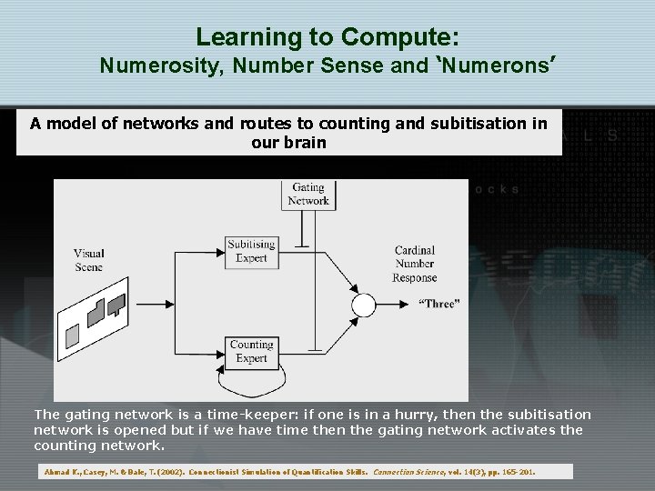 Learning to Compute: Numerosity, Number Sense and ‘Numerons’ A model of networks and routes