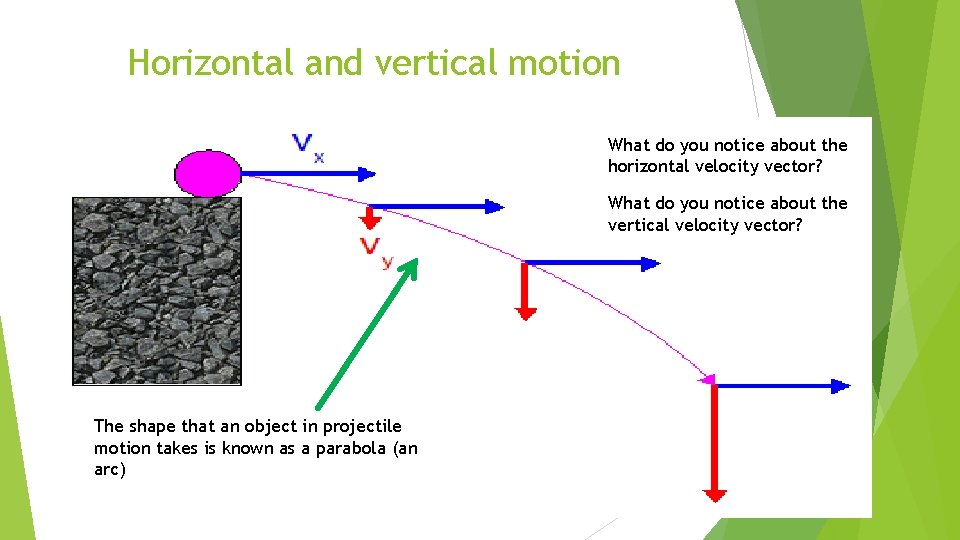 Horizontal and vertical motion What do you notice about the horizontal velocity vector? What