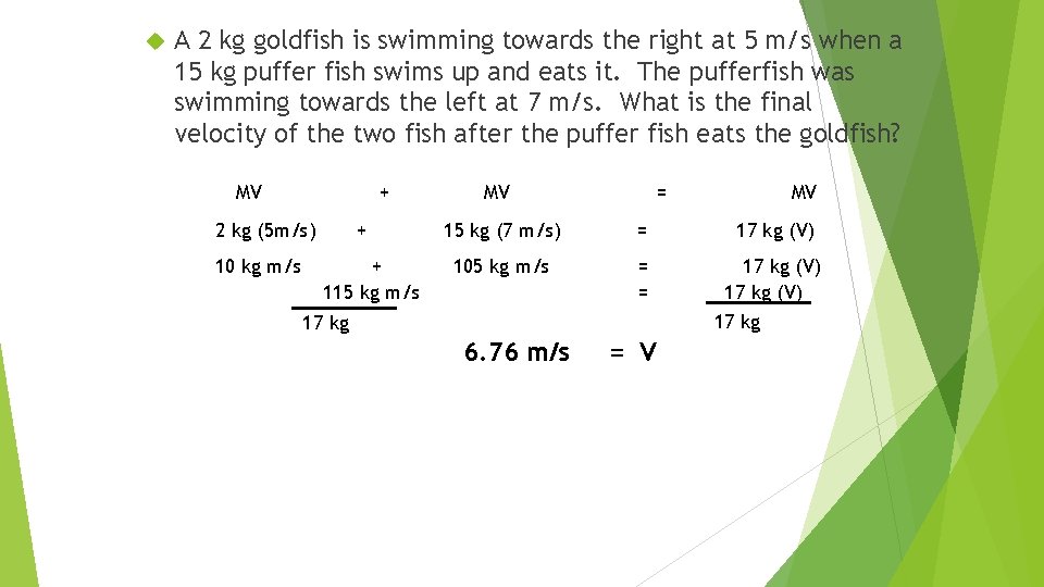  A 2 kg goldfish is swimming towards the right at 5 m/s when