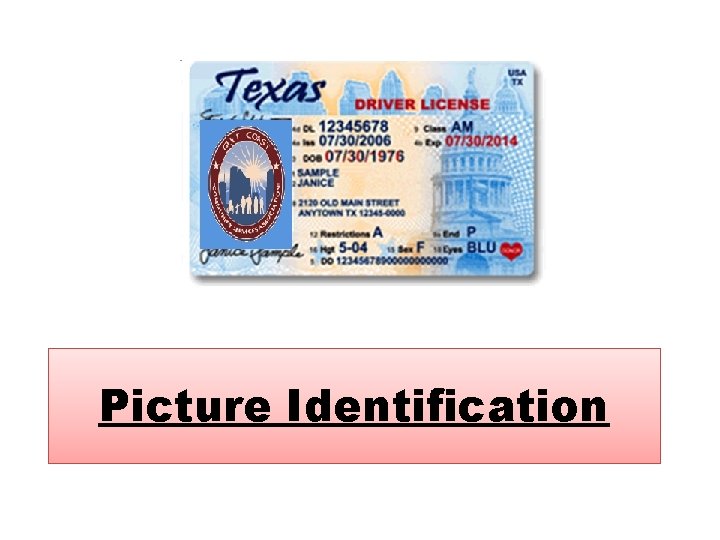 Picture Identification 