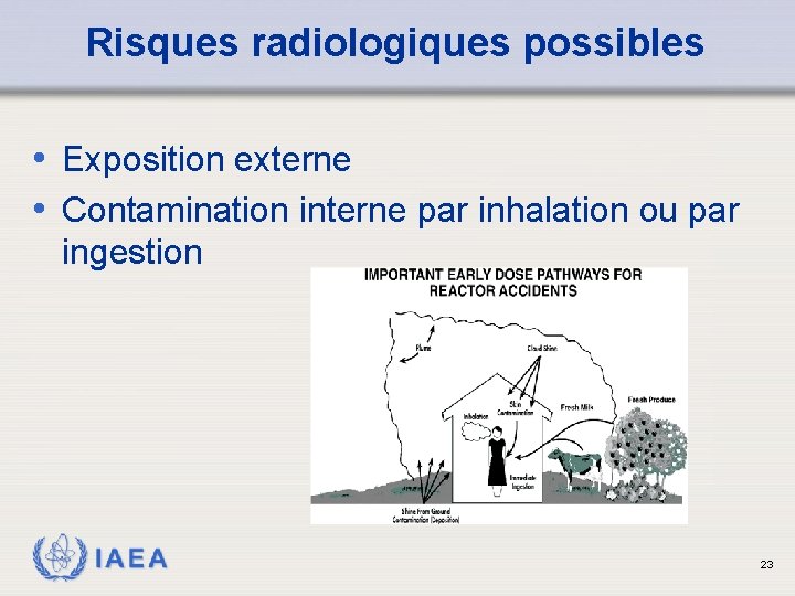 Risques radiologiques possibles • Exposition externe • Contamination interne par inhalation ou par ingestion