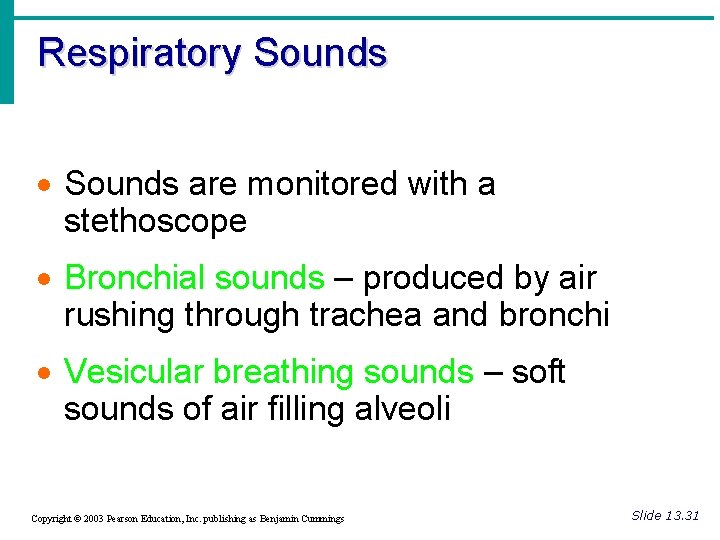 Respiratory Sounds · Sounds are monitored with a stethoscope · Bronchial sounds – produced