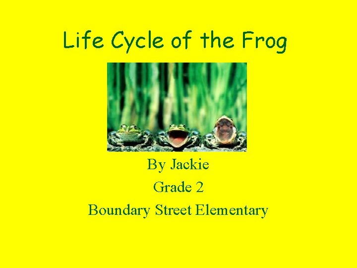 Life Cycle of the Frog By Jackie Grade 2 Boundary Street Elementary 