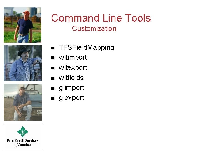 Command Line Tools Customization n n n TFSField. Mapping witimport witexport witfields glimport glexport