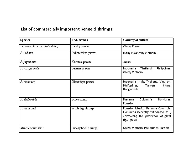 List of commercially important penaeid shrimps: Species FAO names Country of culture Penaeus chinensis