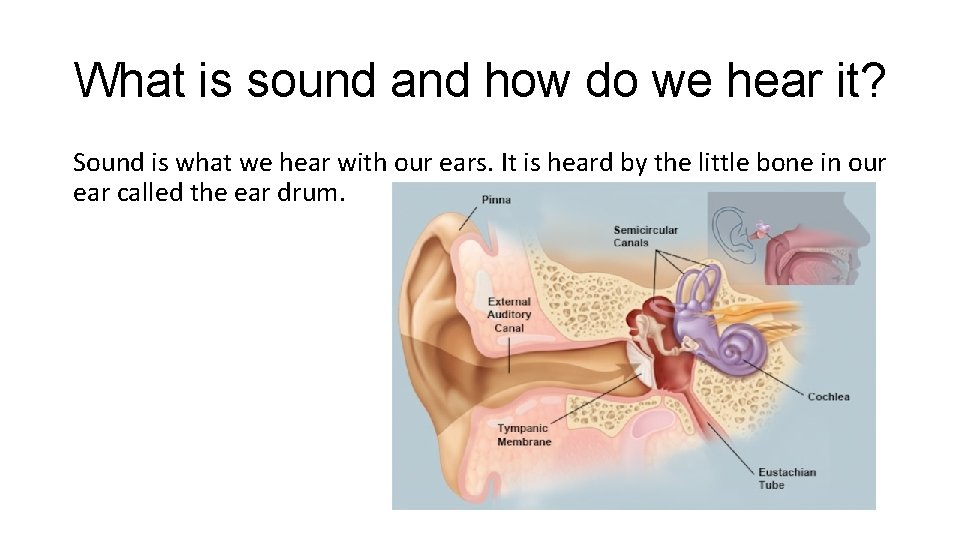 What is sound and how do we hear it? Sound is what we hear