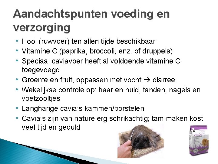 Aandachtspunten voeding en verzorging Hooi (ruwvoer) ten allen tijde beschikbaar Vitamine C (paprika, broccoli, Aandachtspunten voeding en verzorging Hooi (ruwvoer) ten allen tijde beschikbaar Vitamine C (paprika, broccoli,