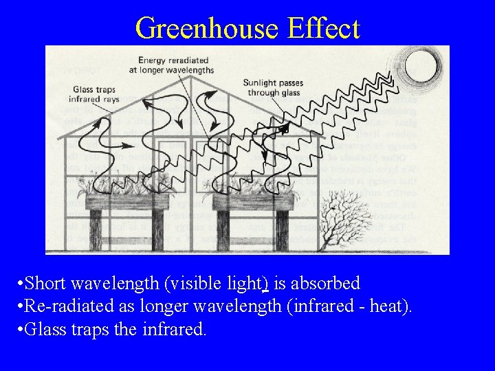 Greenhouse Effect • Short wavelength (visible light) is absorbed • Re-radiated as longer wavelength
