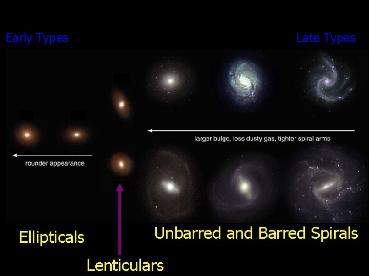 Early Types Ellipticals Late Types Unbarred and Barred Spirals Lenticulars 