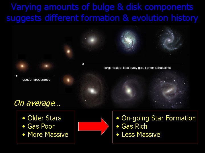 Varying amounts of bulge & disk components suggests different formation & evolution history On