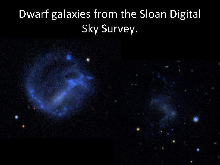 Dwarf galaxies from the Sloan Digital Sky Survey. 