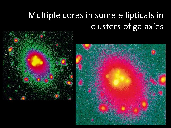 Multiple cores in some ellipticals in clusters of galaxies 