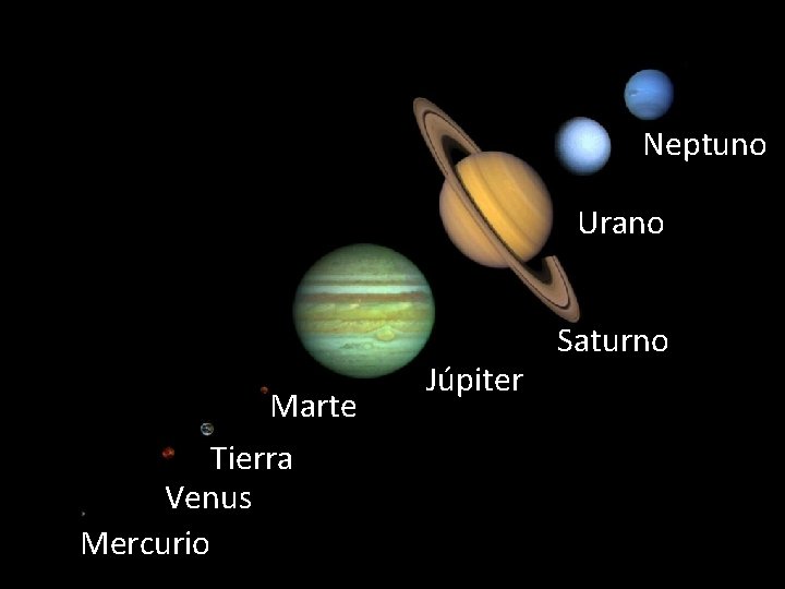Neptuno Urano Marte Tierra Venus Mercurio Júpiter Saturno 