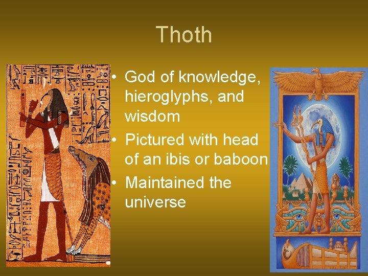 Thoth • God of knowledge, hieroglyphs, and wisdom • Pictured with head of an