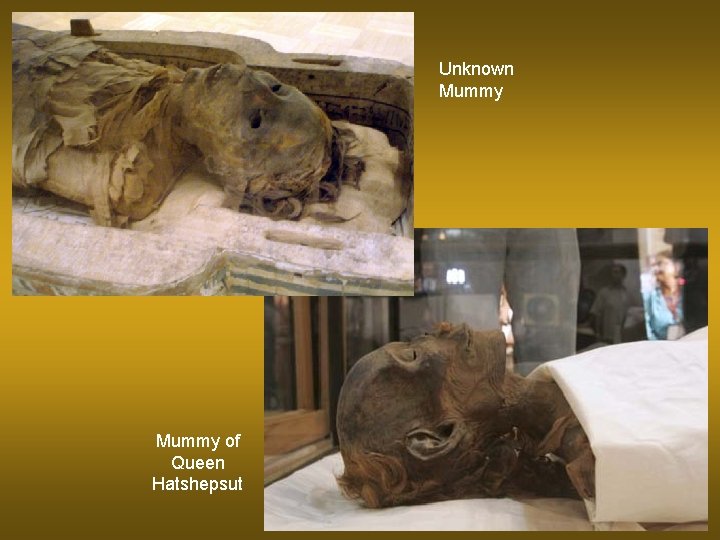 Unknown Mummy of Queen Hatshepsut 