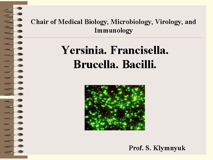 Chair of Medical Biology, Microbiology, Virology, and Immunology Yersinia. Francisella. Brucella. Bacilli. Prof. S.