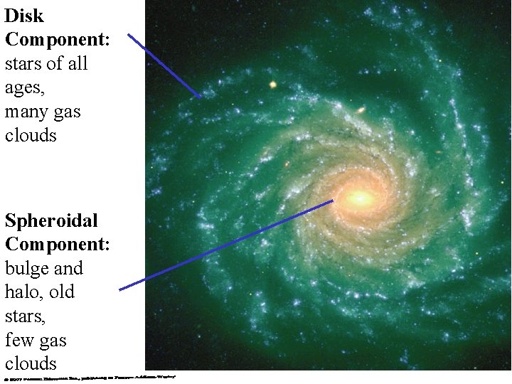 Disk Component: stars of all ages, many gas clouds Spheroidal Component: bulge and halo,