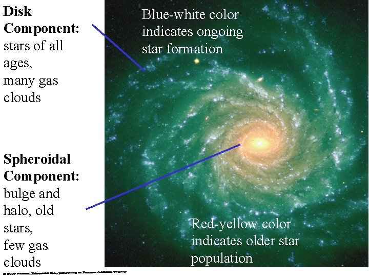 Disk Component: stars of all ages, many gas clouds Spheroidal Component: bulge and halo,