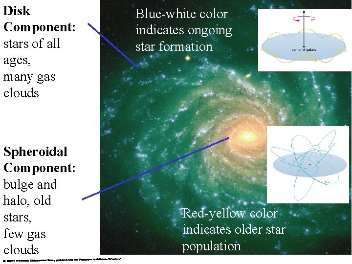 Disk Component: stars of all ages, many gas clouds Spheroidal Component: bulge and halo,