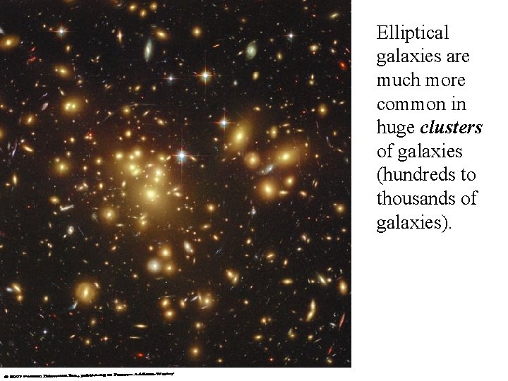 Elliptical galaxies are much more common in huge clusters of galaxies (hundreds to thousands