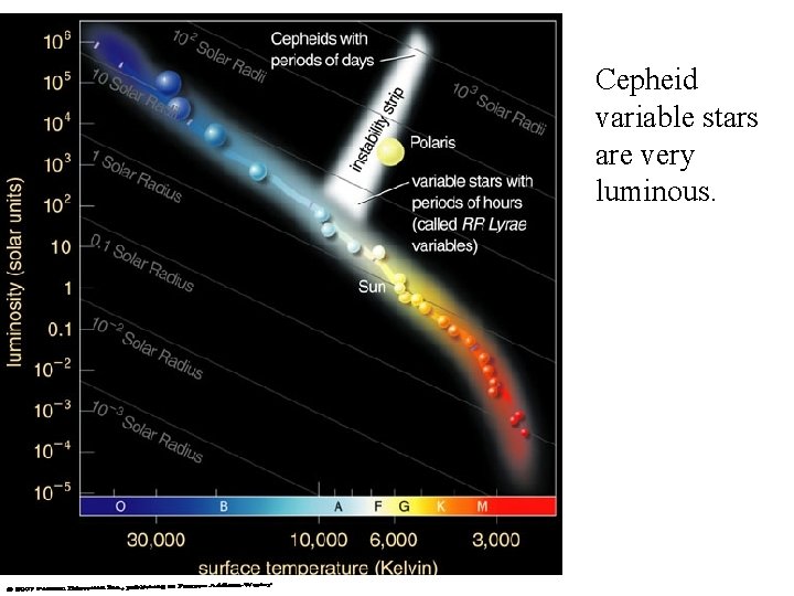 Cepheid variable stars are very luminous. 