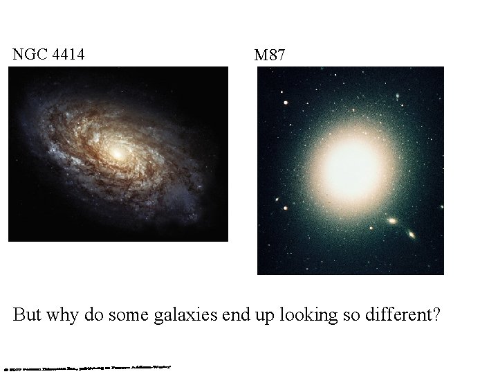 NGC 4414 M 87 But why do some galaxies end up looking so different?