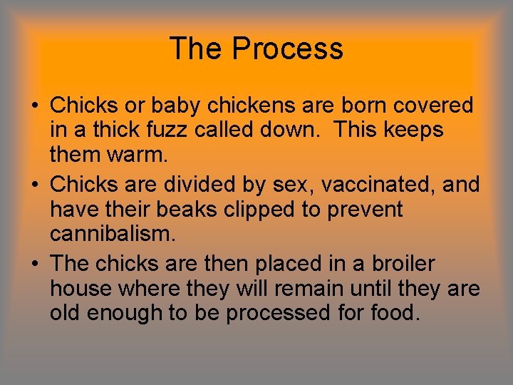 The Process • Chicks or baby chickens are born covered in a thick fuzz