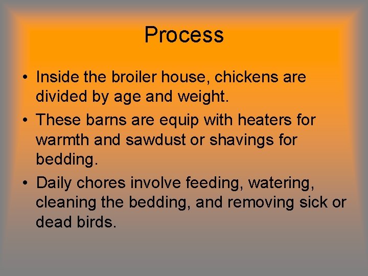Process • Inside the broiler house, chickens are divided by age and weight. • Process • Inside the broiler house, chickens are divided by age and weight. •