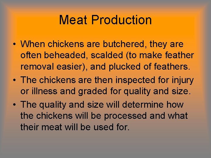 Meat Production • When chickens are butchered, they are often beheaded, scalded (to make