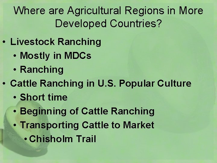 Where are Agricultural Regions in More Developed Countries? • Livestock Ranching • Mostly in